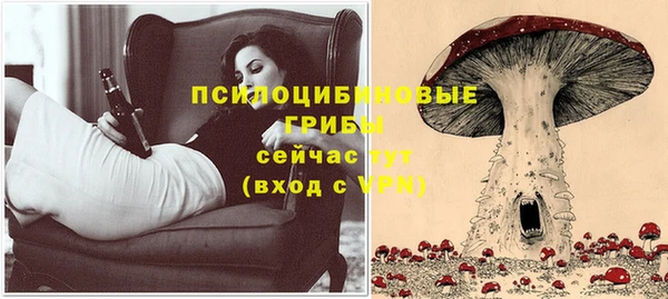 эйфоретик Медвежьегорск