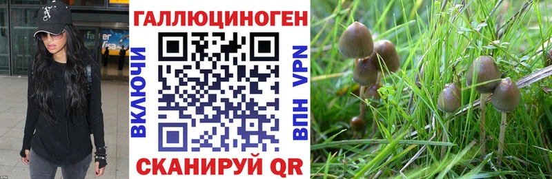 Галлюциногенные грибы Magic Shrooms  Цимлянск 